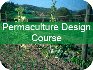 Permaculture Design Course