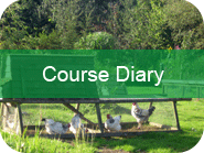 Course Diary
