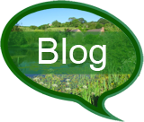 Click for our Blog
