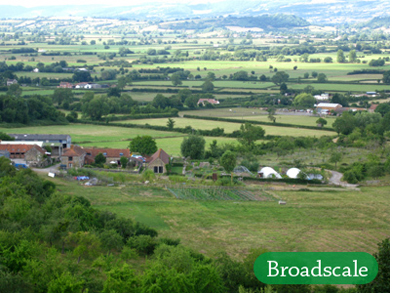 Broadscale