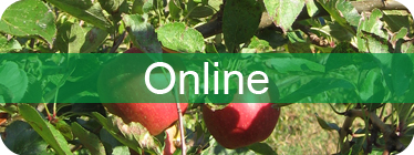 Online