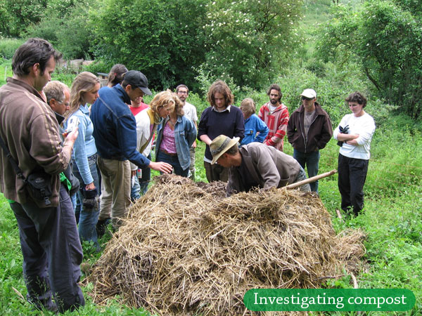 Investigating Compost
